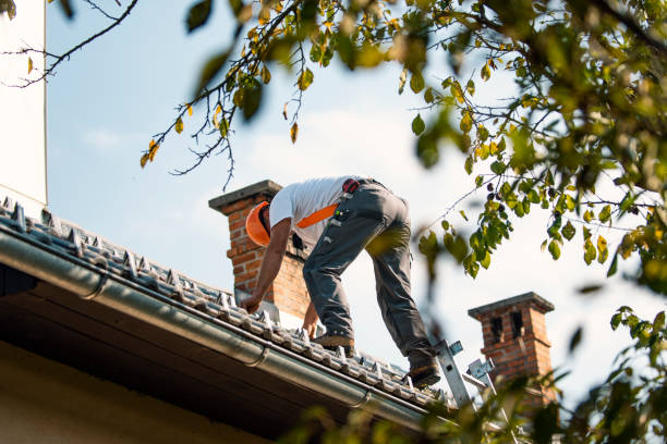 Best Storm Damage Roof Repair  in Guttenberg, IA