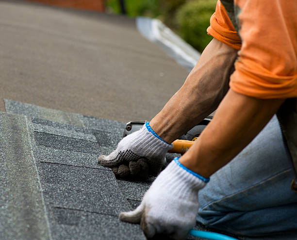 Best Shingle Roofing Installation  in Guttenberg, IA