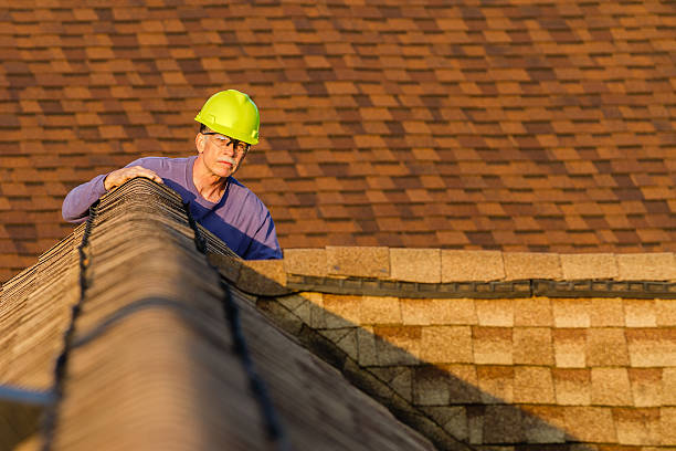 Best Roof Maintenance Services  in Guttenberg, IA