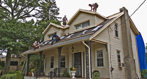 Best Flat Roof Repair Services  in Guttenberg, IA