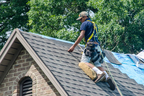 Best Residential Roofing Contractor  in Guttenberg, IA
